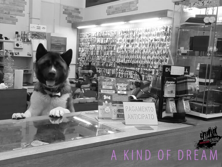 Il nuovo progetto: 'A Kind Of Dream'